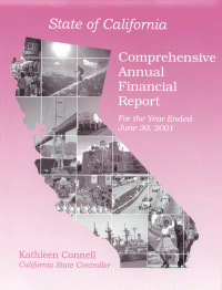 Comprehensive Annual Financial Report (CAFR) 2001